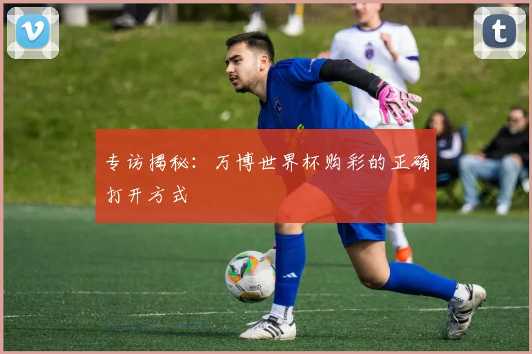 专访揭秘:万博世界杯购彩的正确打开方式