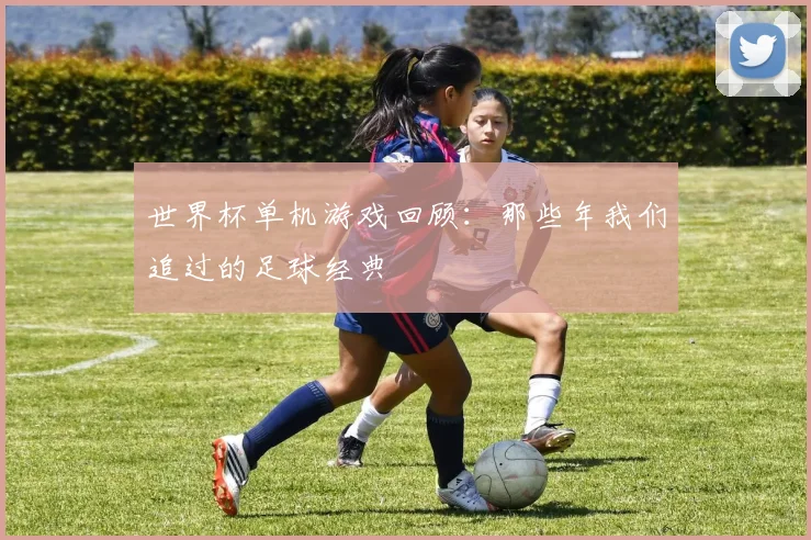 世界杯单机游戏回顾：那些年我们追过的足球经典