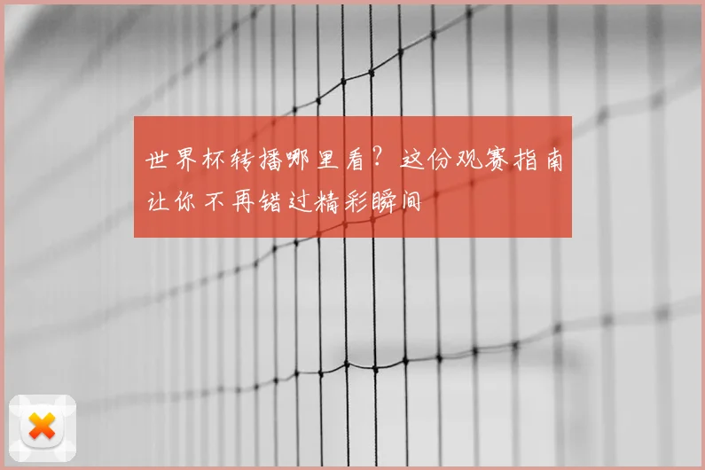 世界杯转播哪里看？这份观赛指南让你不再错过精彩瞬间