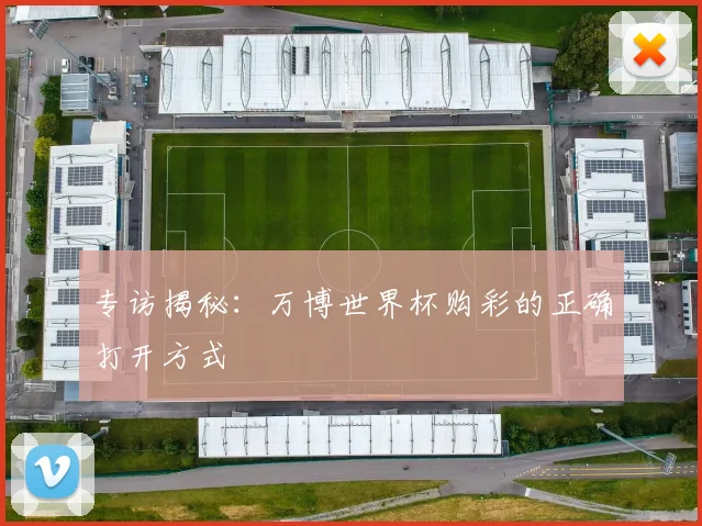 专访揭秘:万博世界杯购彩的正确打开方式