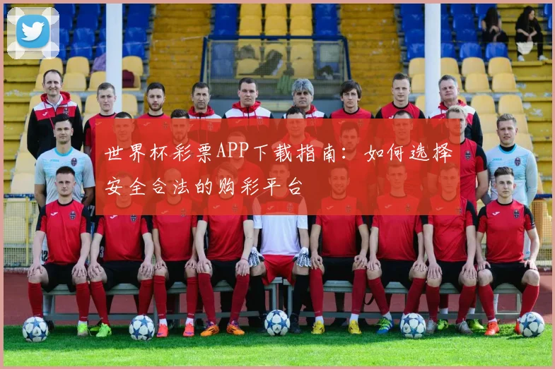 世界杯彩票APP下载指南:如何选择安全合法的购彩平台