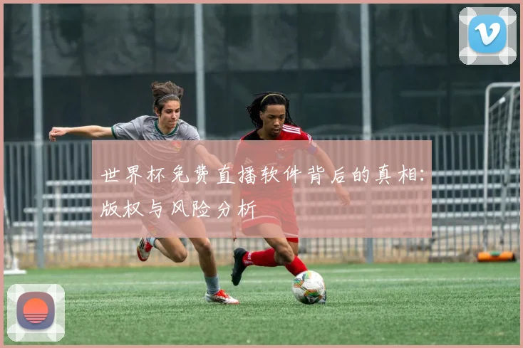 世界杯免费直播软件背后的真相:版权与风险分析