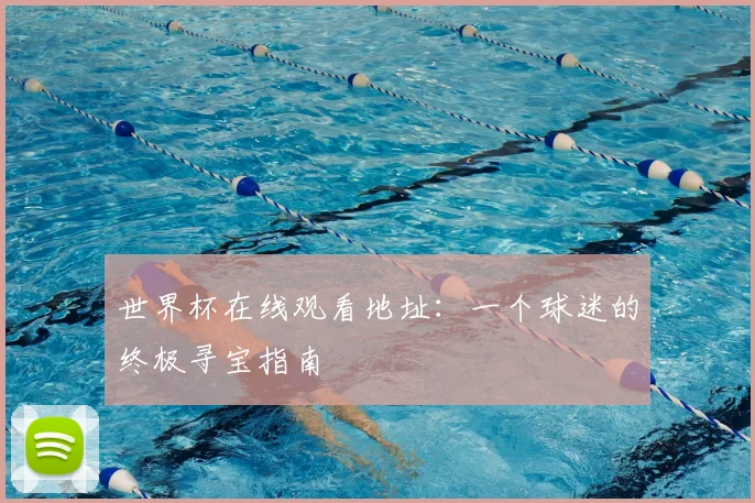 世界杯在线观看地址：一个球迷的终极寻宝指南