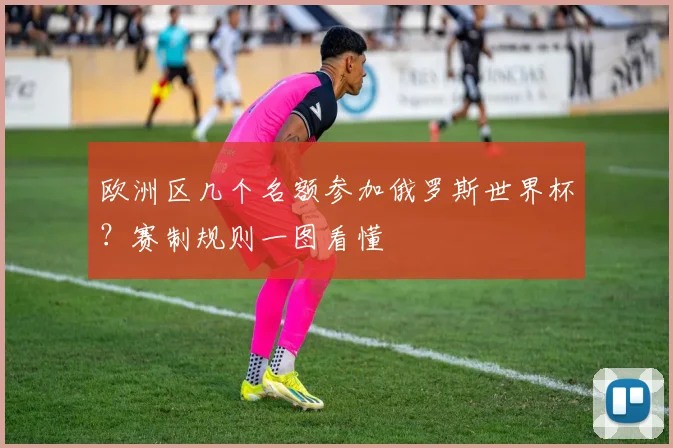 欧洲区几个名额参加俄罗斯世界杯？赛制规则一图看懂