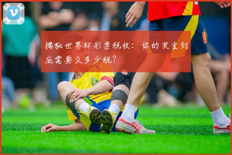 揭秘世界杯彩票税收：你的奖金到底需要交多少税？