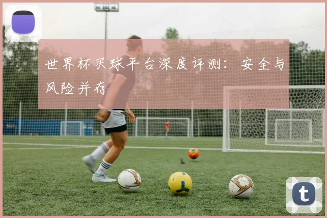 世界杯买球平台深度评测：安全与风险并存