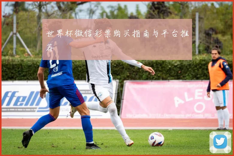 世界杯微信彩票购买指南与平台推荐