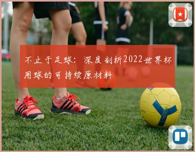 不止于足球：深度剖析2022世界杯用球的可持续原材料