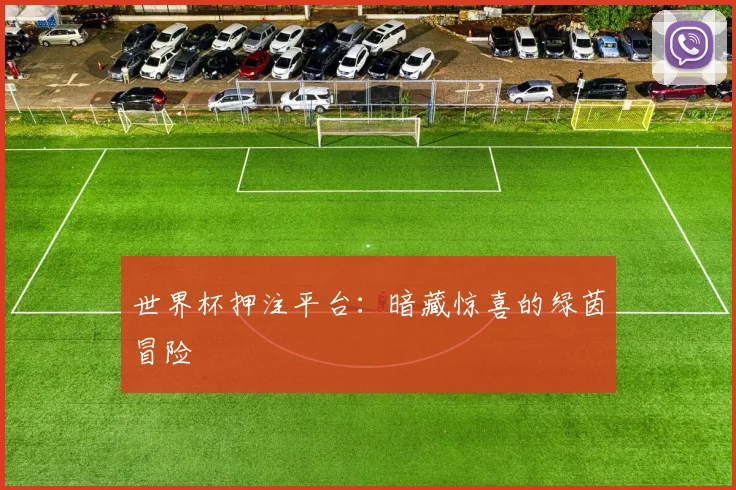 世界杯押注平台：暗藏惊喜的绿茵冒险