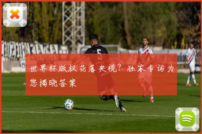 世界杯版权花落央视？独家专访为您揭晓答案