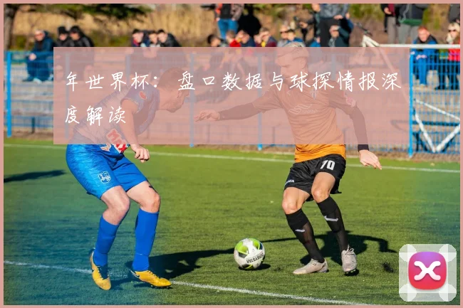 年世界杯：盘口数据与球探情报深度解读